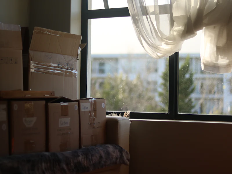 Umzugskartons vor einem Fenster (vorher, Symbolbild)